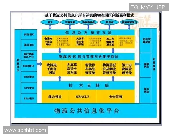 西安排球队运营革新探索：从管理模式到市场策略的全面升级
