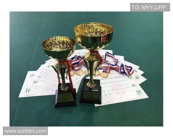 武汉乒乓球队奋勇拼搏的历程与荣耀时刻特别报道